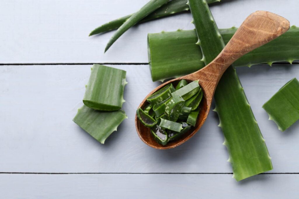 Aloe vera: il suo gel per curare la pelle e migliorare la digestione