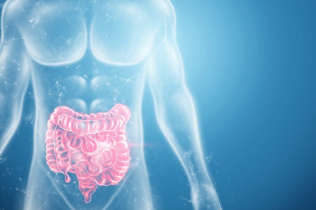 patologia che coinvolge l’intestino tenue –